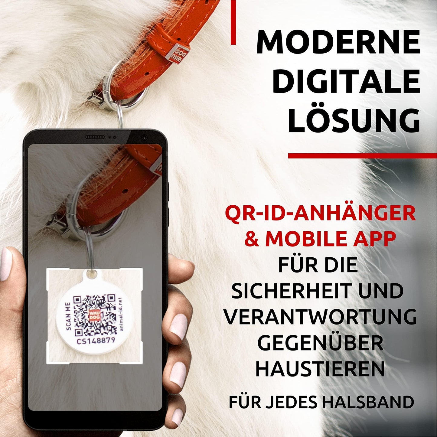 Ultra Soft Rolled Leather Dog Collar for Small Dogs 1316 in Orange Soft Padded