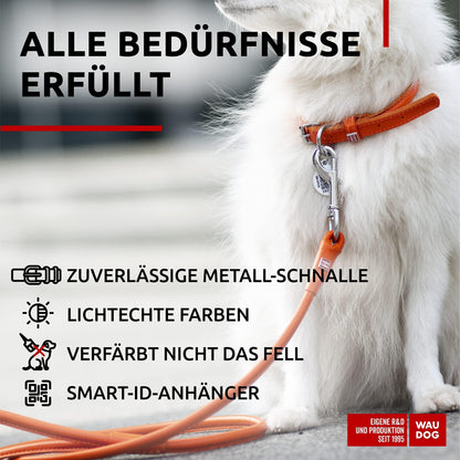 Ultra Soft Rolled Leather Dog Collar for Small Dogs 1316 in Orange Soft Padded