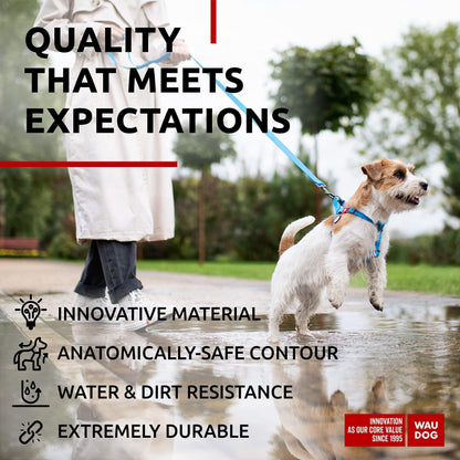 Blue Waterproof Dog Harness Adjustable for Large Dogs S Size 1622 Inch