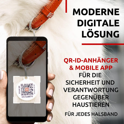 Ultra Soft Rolled Leather Dog Collar for Small Dogs 1316 in Orange Soft Padded